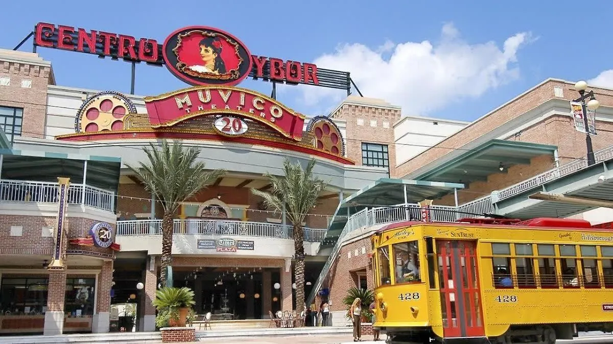 Apartament 5 Mi To Busch Gardens + 2 Mi To Usf + Pool + Gym Tampa 0*,