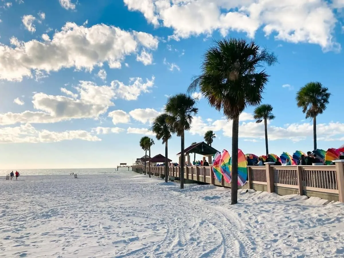 Apartament 5 Mi To Busch Gardens + 2 Mi To Usf + Pool + Gym Tampa