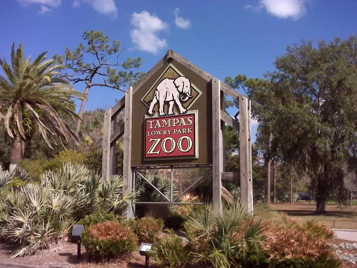 Apartament 5 Mi To Busch Gardens + 2 Mi To Usf + Pool + Gym Tampa Stany Zjednoczone Ameryki